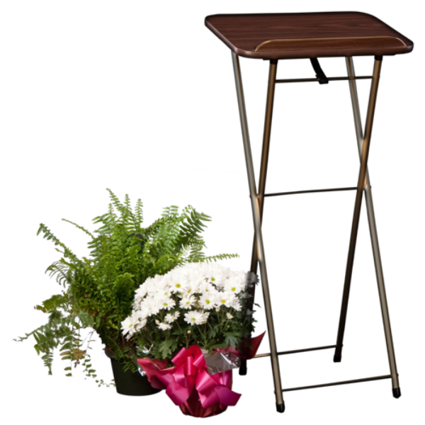 Standard Folding  Register Stand/ Lectern Value Bundle