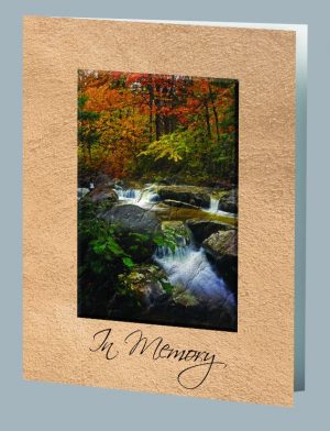 Autumn Stream Service Record