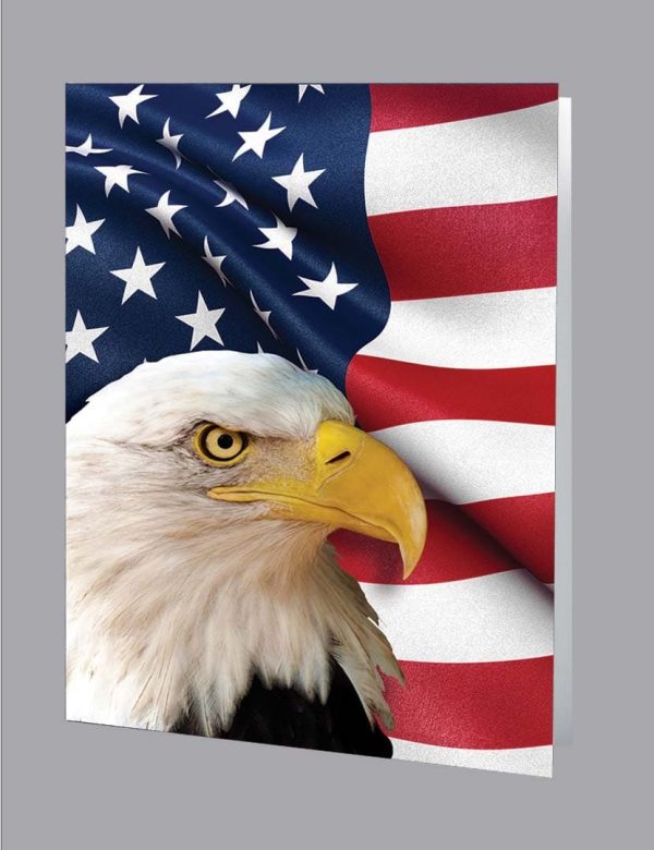 American Pride Service Record