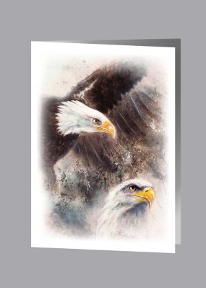 Dual Eagle Acknowledgment