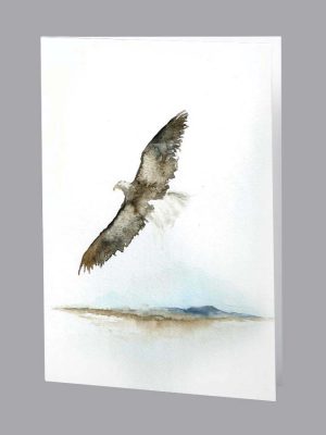 Eagle Soaring Acknowledgment