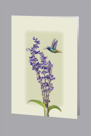Hummingbird II Acknowledgment