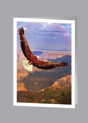 Rainbow Eagle Acknowledgment
