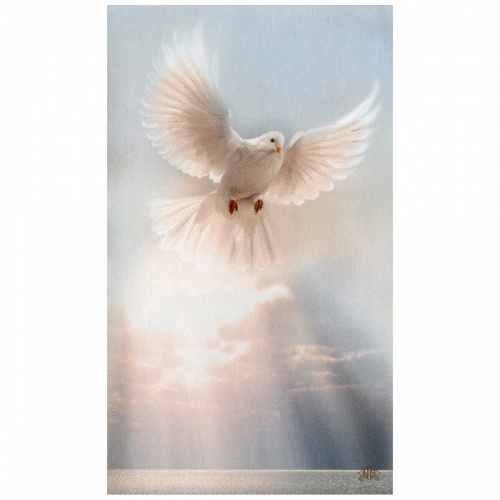 White Dove Prayer Card - Image 2