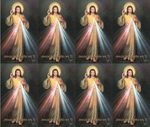 Divine Mercy Spanish Prayer Card