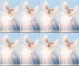 White Dove Prayer Card