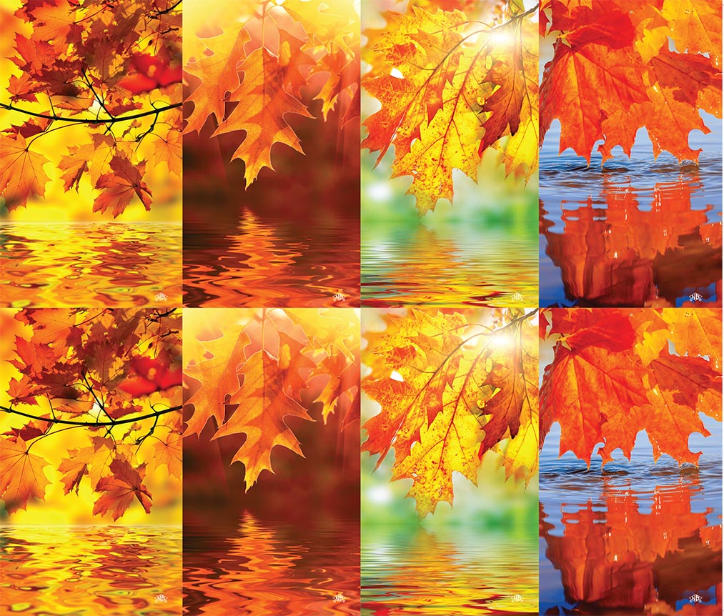 Leaves Prayer Card