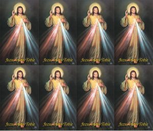 Divine Mercy Polish Prayer Card