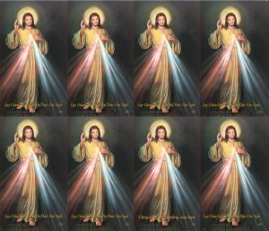 Divine Mercy Vietnamese Prayer Card