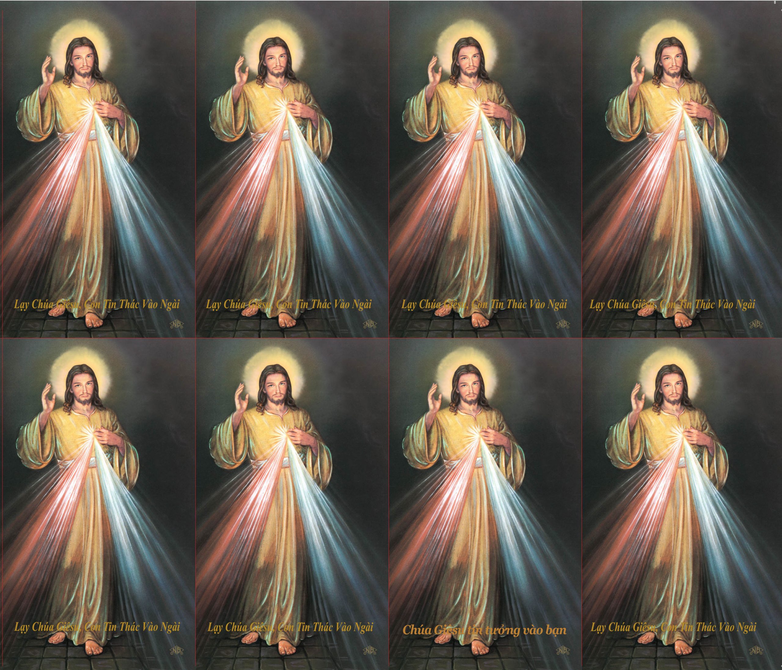 Divine Mercy Vietnamese Prayer Card