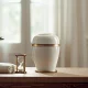 Cremation: A Guide to Process, Cost, and Culture