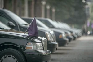 Row of black cars in a funeral procession with purple flags on their hoods.