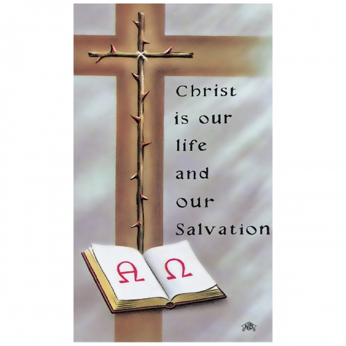 Pieta-2 Prayer Card - Image 2