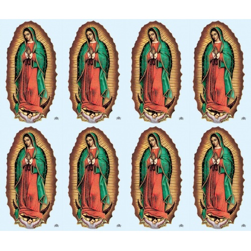 Our Lady Of Guadalupe Light Blue Background