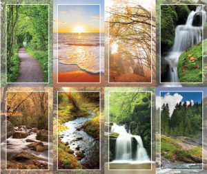 Serenity Nature Assorted Prayer Card